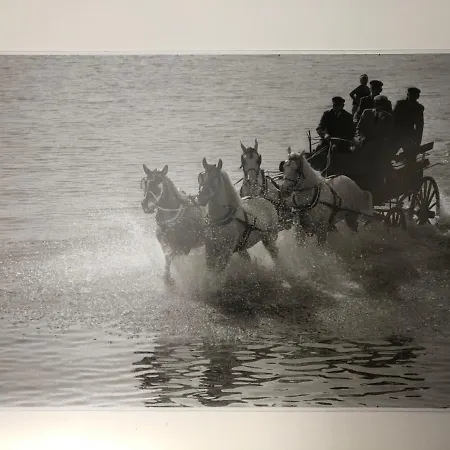 索波特赛马场旅馆 旅馆